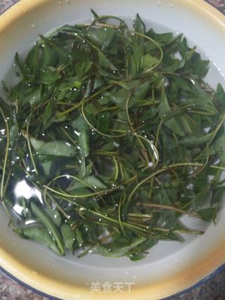 野菜-软江叶的做法步骤:2
