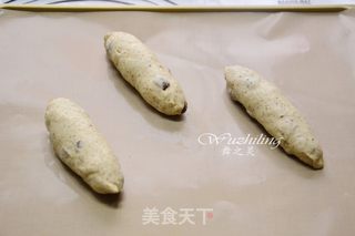 红枣胚芽软欧的做法步骤:5