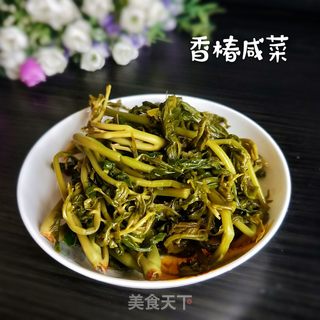 留住春的味道——香椿咸菜的做法步骤：5