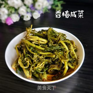 留住春的味道——香椿咸菜的做法步骤:5