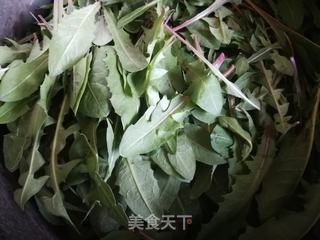 自制蒲公英茶(快蒸晾晒法)的做法步骤:2