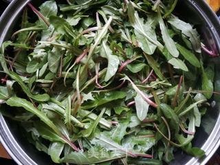 自制蒲公英茶(快蒸晾晒法)的做法步骤:4