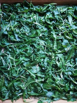 自制蒲公英茶(快蒸晾晒法)的做法步骤:5