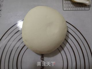 教你做好吃的手工馒头的做法步骤:8