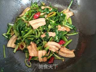 苔菜炒肉的做法步骤:9