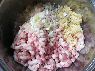 春日美味:香辣槐花猪肉包的做法步骤:8