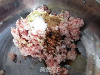 枸杞苗羊肉馄饨的做法步骤:4