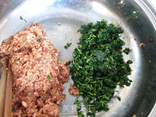 枸杞苗羊肉馄饨的做法步骤:5