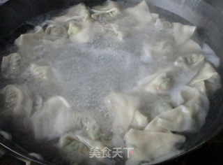 枸杞苗羊肉馄饨的做法步骤:9