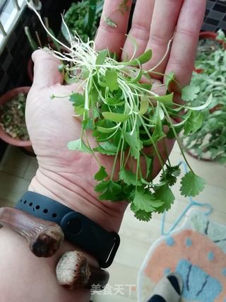 香辣花腰子的做法步骤：5