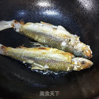 鲜河鱼炖丝瓜汤的做法步骤:6