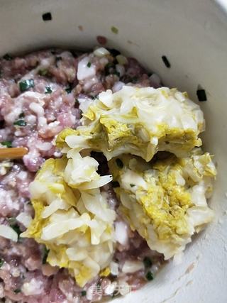 东北酸菜水饺的做法步骤:6