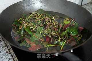 凉拌鱼腥草的做法步骤:3