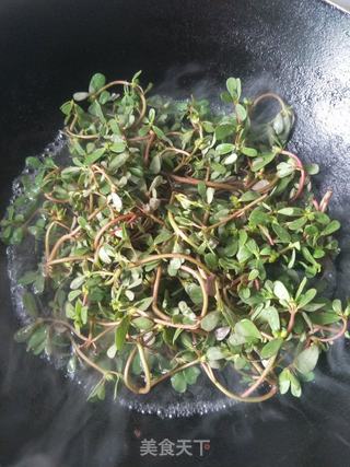 泡椒马齿苋的做法步骤：3