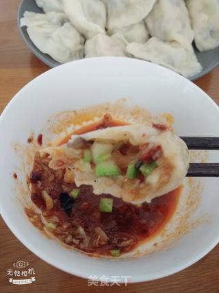西葫芦素水饺的做法步骤:15