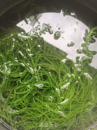 “凉菜”凉拌龙须菜的做法步骤:2