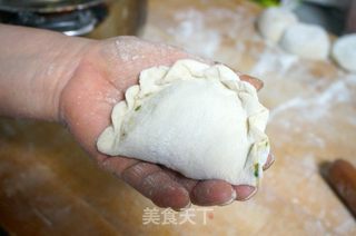 苜蓿猪肉大蒸饺的做法步骤：7