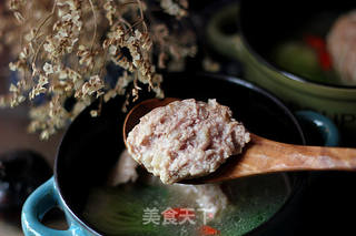 江南滋味。【扬州狮子头】 的做法步骤:18