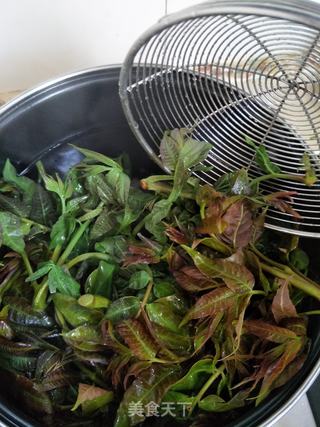牛肉香椿酱的做法步骤:2