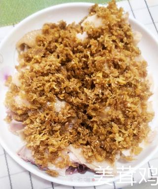 姜茸鸡的做法步骤:6