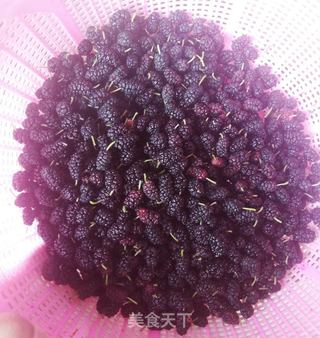桑葚果酱的做法步骤:2