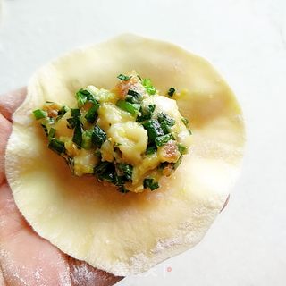 韭菜猪肉馅水饺的做法步骤:11