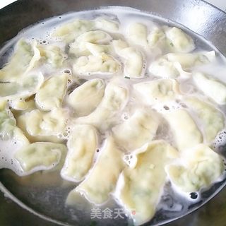 韭菜猪肉馅水饺的做法步骤:16