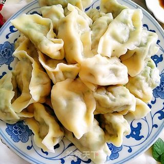 韭菜猪肉馅水饺的做法步骤:17