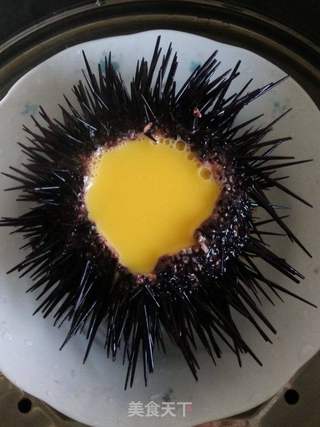 海胆蒸蛋的做法步骤:4