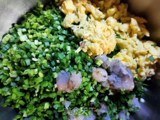 韭菜虾仁饺子的做法步骤:8