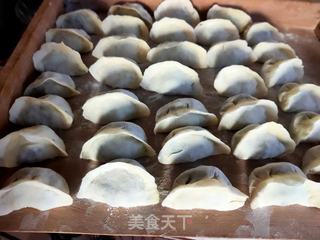 韭菜虾仁饺子的做法步骤:11
