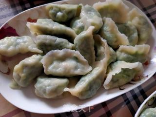 韭菜虾仁饺子的做法步骤:14