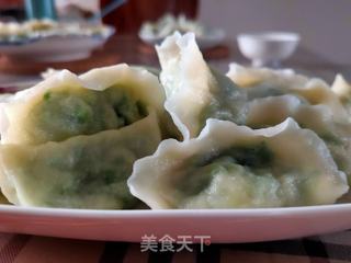 韭菜虾仁饺子的做法步骤:16