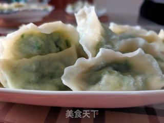 韭菜虾仁饺子的做法步骤:17