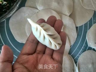 煎冰花饺子的做法步骤:6