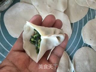 煎冰花饺子的做法步骤:5