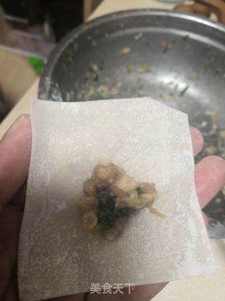 茶树菇鲜虾小馄饨的做法步骤：5