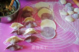 小叶山芹菜猪肉馅水饺的做法步骤:8