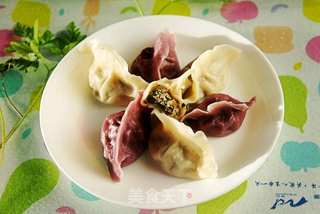 小叶山芹菜猪肉馅水饺的做法步骤:11