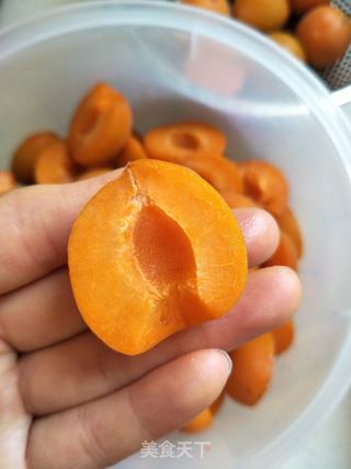 杏果酱的做法步骤:3