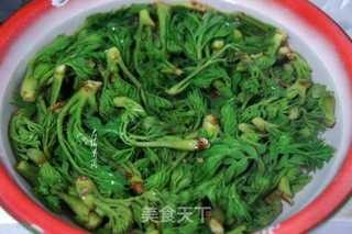 凉拌刺老芽的做法步骤:3