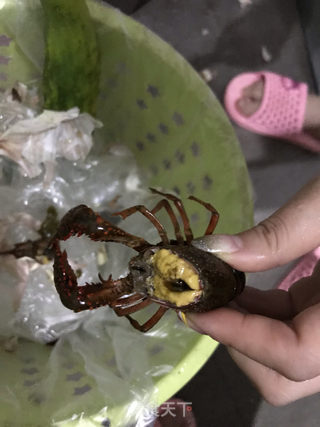清蒸/冰镇小龙虾的做法步骤:3
