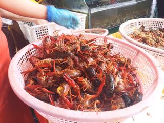 蒜蓉小龙虾的做法步骤:2