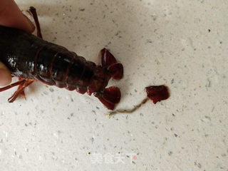 麻辣小龙虾的做法步骤:2