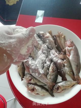 小满日食记之酱焖自钓海杂鱼的做法步骤：4