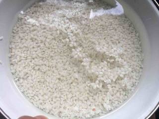 红豆蜜枣粽的做法步骤:3