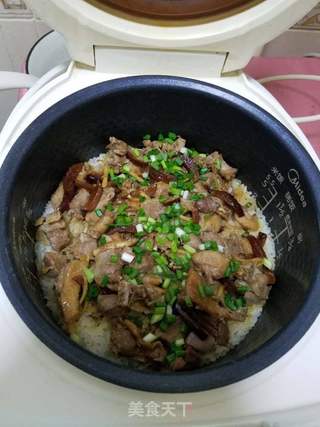 鸽子焖饭(电饭煲版)的做法步骤:7