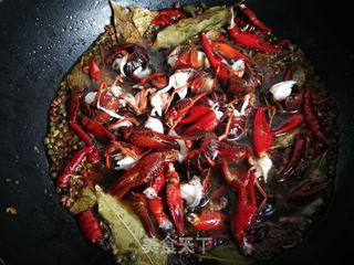 香辣啤酒小龙虾的做法步骤:9