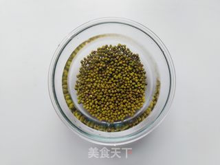 发绿豆芽的做法步骤:2