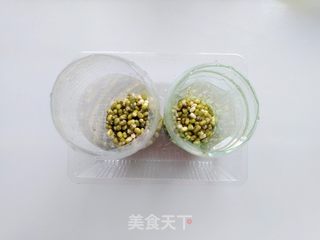 发绿豆芽的做法步骤:5